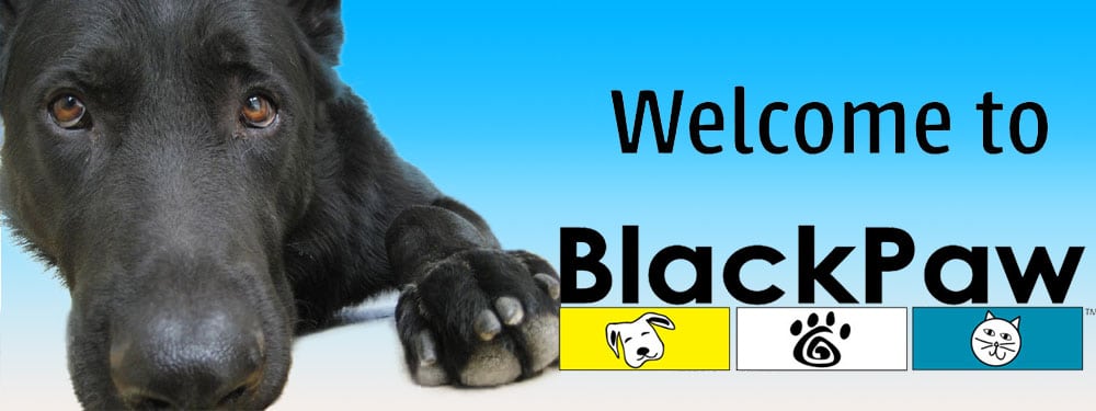 blackpaw-1